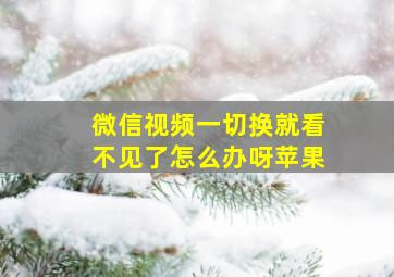 微信视频一切换就看不见了怎么办呀苹果