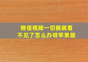 微信视频一切换就看不见了怎么办呀苹果版