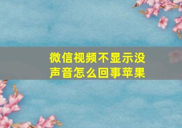 微信视频不显示没声音怎么回事苹果