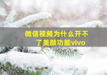 微信视频为什么开不了美颜功能vivo