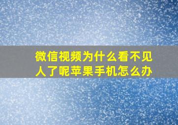 微信视频为什么看不见人了呢苹果手机怎么办