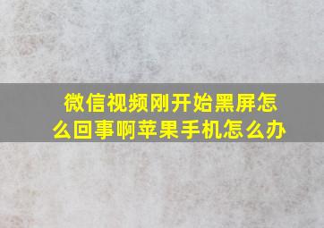 微信视频刚开始黑屏怎么回事啊苹果手机怎么办