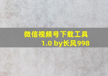 微信视频号下载工具 1.0 by长风998