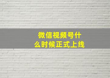 微信视频号什么时候正式上线