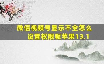 微信视频号显示不全怎么设置权限呢苹果13.1