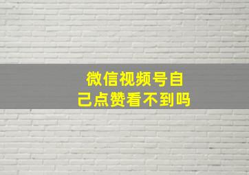 微信视频号自己点赞看不到吗