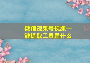 微信视频号视频一键提取工具是什么