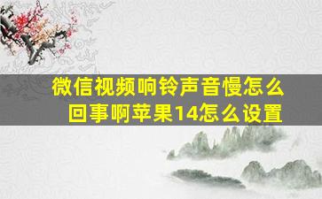 微信视频响铃声音慢怎么回事啊苹果14怎么设置