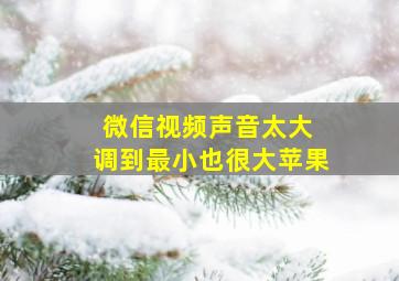 微信视频声音太大 调到最小也很大苹果