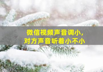 微信视频声音调小,对方声音听着小不小