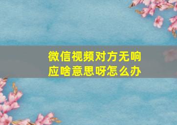 微信视频对方无响应啥意思呀怎么办