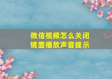 微信视频怎么关闭镜面播放声音提示