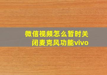 微信视频怎么暂时关闭麦克风功能vivo