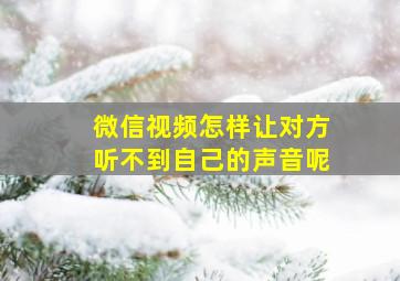 微信视频怎样让对方听不到自己的声音呢