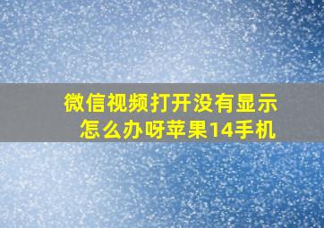 微信视频打开没有显示怎么办呀苹果14手机