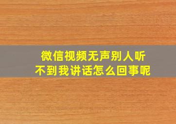 微信视频无声别人听不到我讲话怎么回事呢