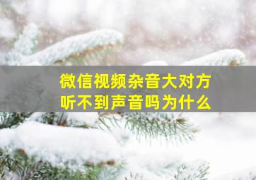 微信视频杂音大对方听不到声音吗为什么