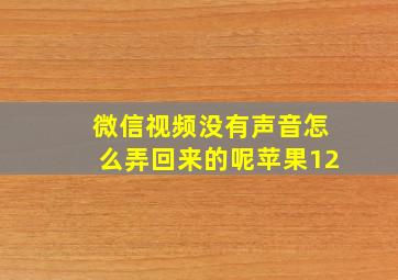 微信视频没有声音怎么弄回来的呢苹果12