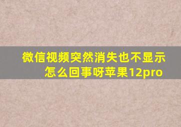 微信视频突然消失也不显示怎么回事呀苹果12pro