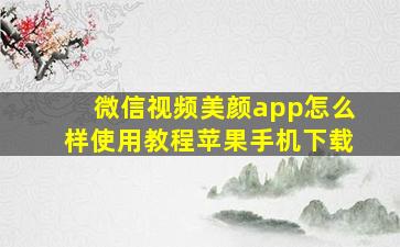 微信视频美颜app怎么样使用教程苹果手机下载