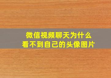 微信视频聊天为什么看不到自己的头像图片