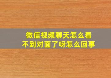 微信视频聊天怎么看不到对面了呀怎么回事