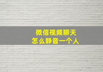 微信视频聊天怎么静音一个人