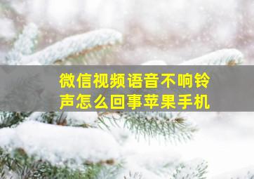 微信视频语音不响铃声怎么回事苹果手机