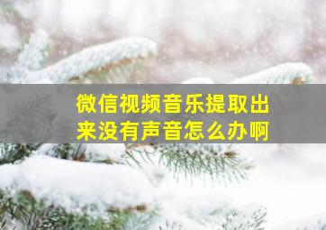 微信视频音乐提取出来没有声音怎么办啊