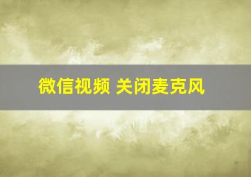 微信视频 关闭麦克风