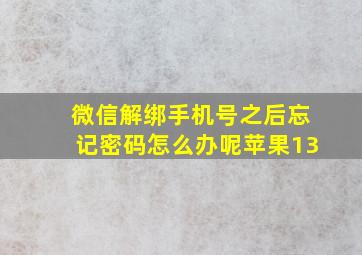 微信解绑手机号之后忘记密码怎么办呢苹果13