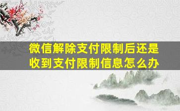 微信解除支付限制后还是收到支付限制信息怎么办