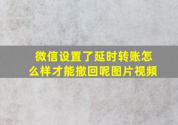 微信设置了延时转账怎么样才能撤回呢图片视频