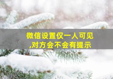 微信设置仅一人可见,对方会不会有提示