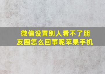 微信设置别人看不了朋友圈怎么回事呢苹果手机