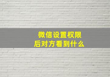 微信设置权限后对方看到什么