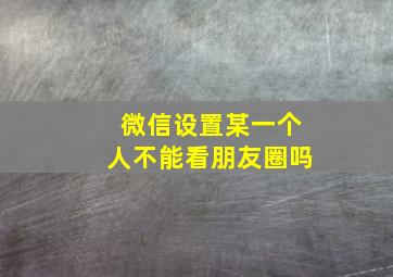 微信设置某一个人不能看朋友圈吗