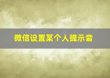 微信设置某个人提示音