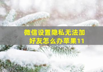 微信设置隐私无法加好友怎么办苹果11