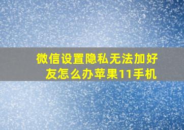 微信设置隐私无法加好友怎么办苹果11手机