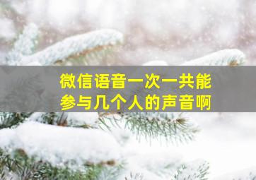 微信语音一次一共能参与几个人的声音啊