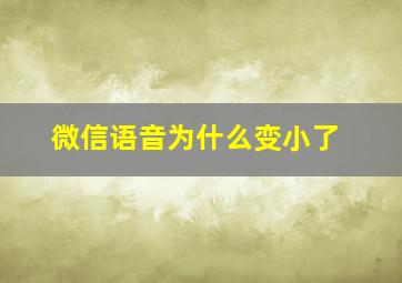 微信语音为什么变小了