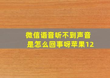 微信语音听不到声音是怎么回事呀苹果12