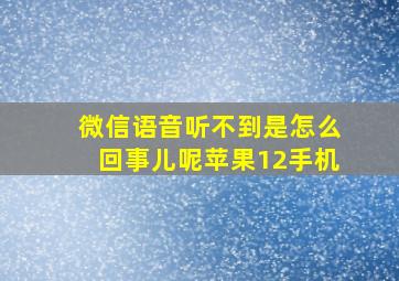 微信语音听不到是怎么回事儿呢苹果12手机