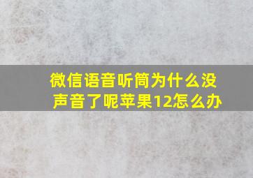 微信语音听筒为什么没声音了呢苹果12怎么办