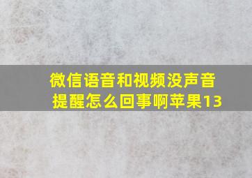 微信语音和视频没声音提醒怎么回事啊苹果13