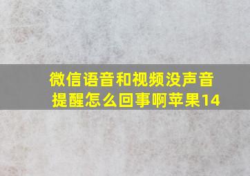 微信语音和视频没声音提醒怎么回事啊苹果14