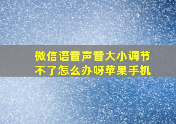 微信语音声音大小调节不了怎么办呀苹果手机