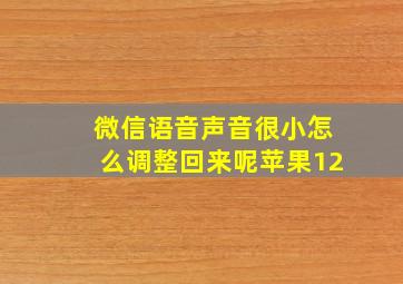 微信语音声音很小怎么调整回来呢苹果12