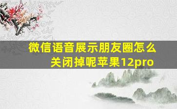 微信语音展示朋友圈怎么关闭掉呢苹果12pro